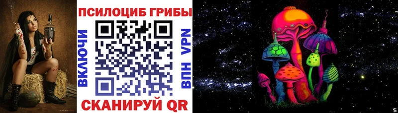 Купить  Ачхой-Мартан  Псилоцибиновые грибы Psilocybe 
